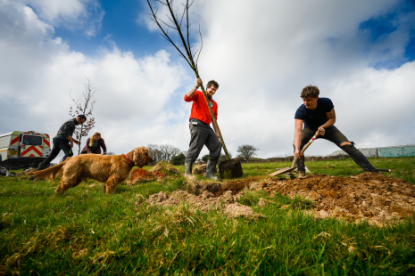  Plymouth and South Devon Community Forest